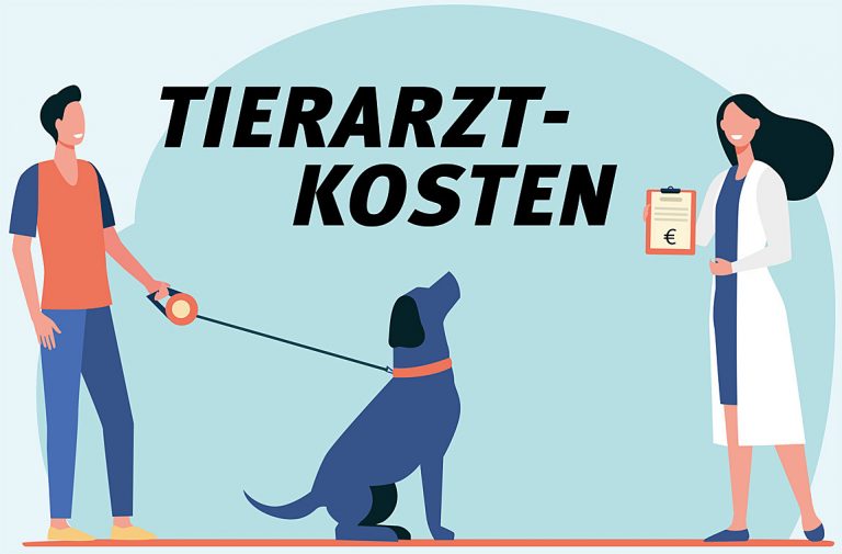 Verwunderlich Tierarzt Kosten Rechner Bild