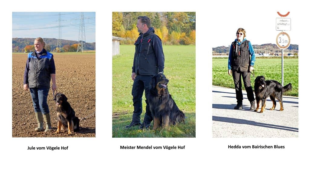 Aktivitäten im Oktober auf einen Blick | 21.11.2020 1 Aktivitäten im Oktober auf einen Blick | 21.11.2020 1