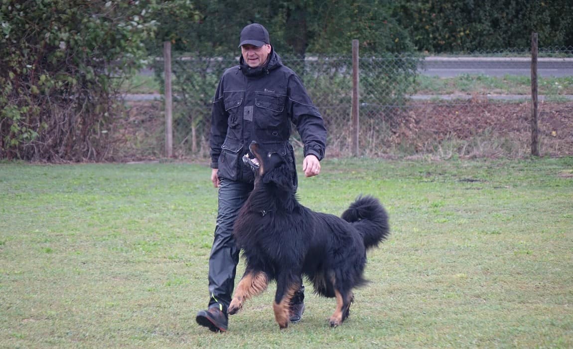 Bernd mit Fenox vom Hohenloher Land