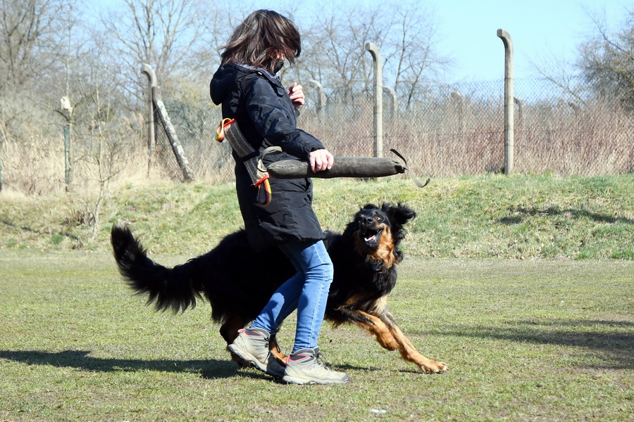 Chewbacca vom Rodautal