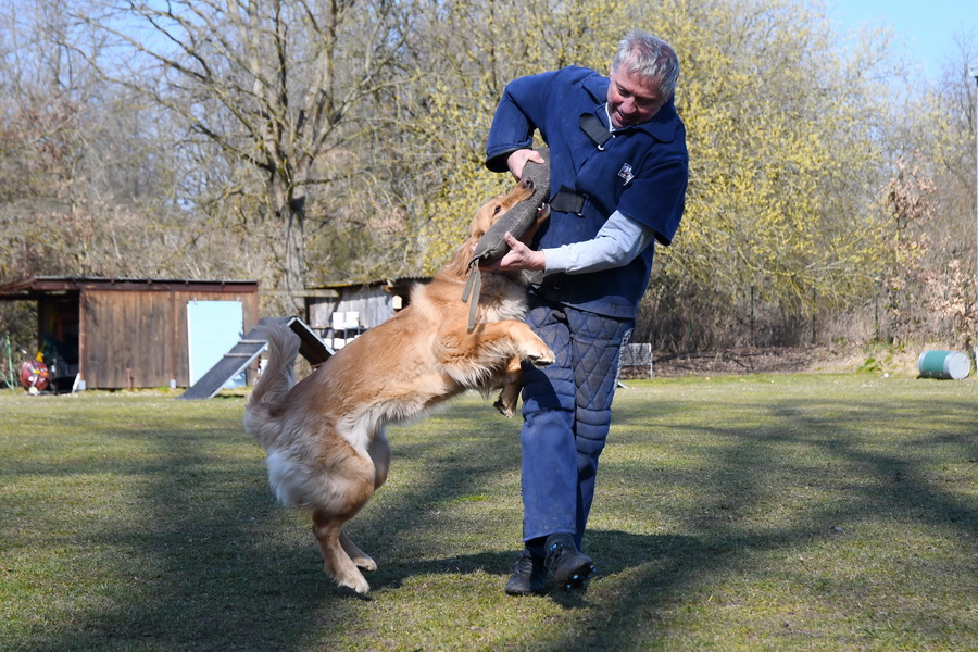 Chakira vom Rodautal