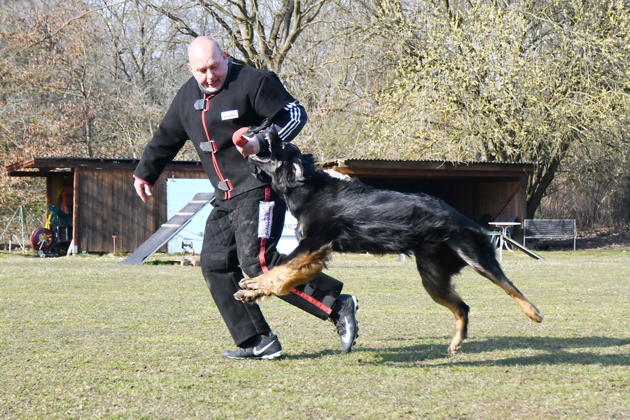 Quincy von der Hofreite