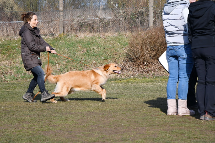 Quine von der Hofreite