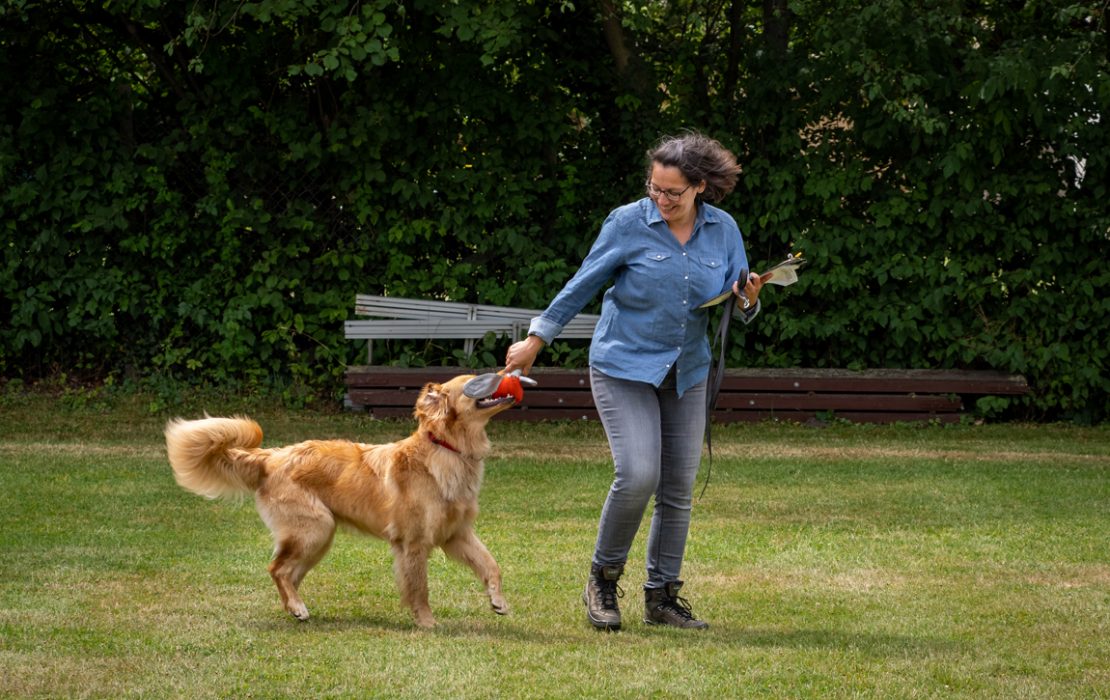 Bella Bird mit Körmeisterin Beatrice Holder