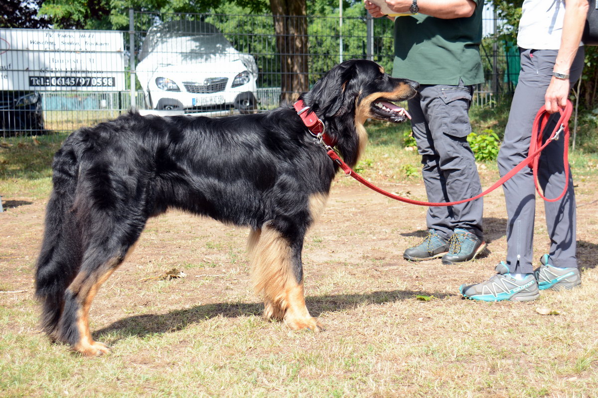 Cosinus von der Hambacher Höhe