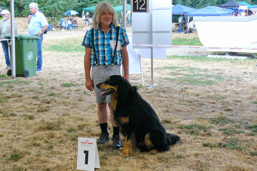 Rüden Gebrauchshundklasse