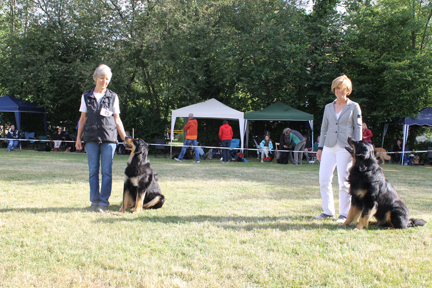 v.li. BOB Finja von Wackerbarth und BOS Gajus vom Langhagensee