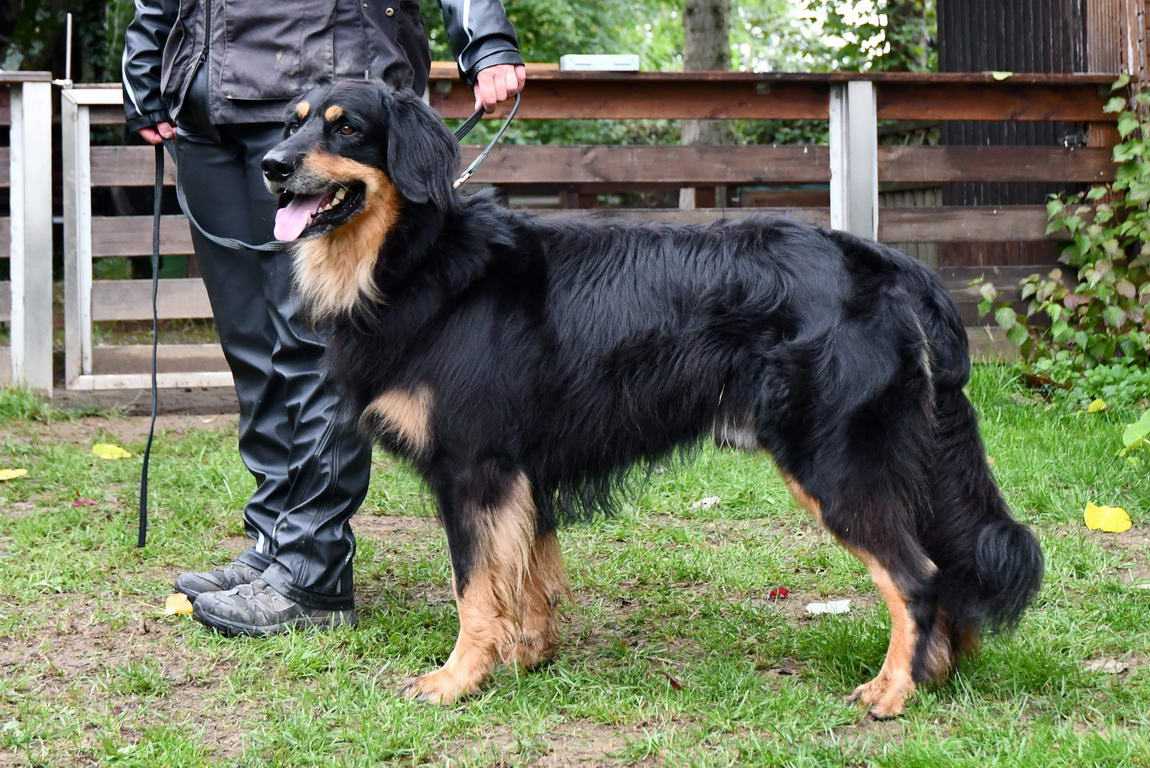 Dario vom Schlumberland