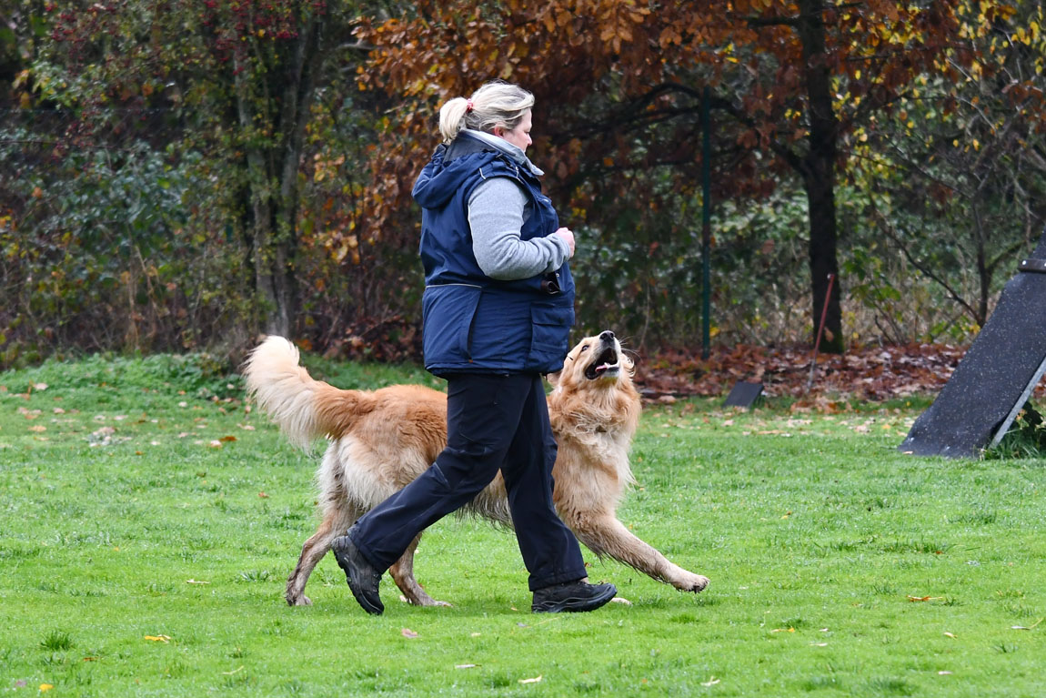 Boxer vom Vilsfeld