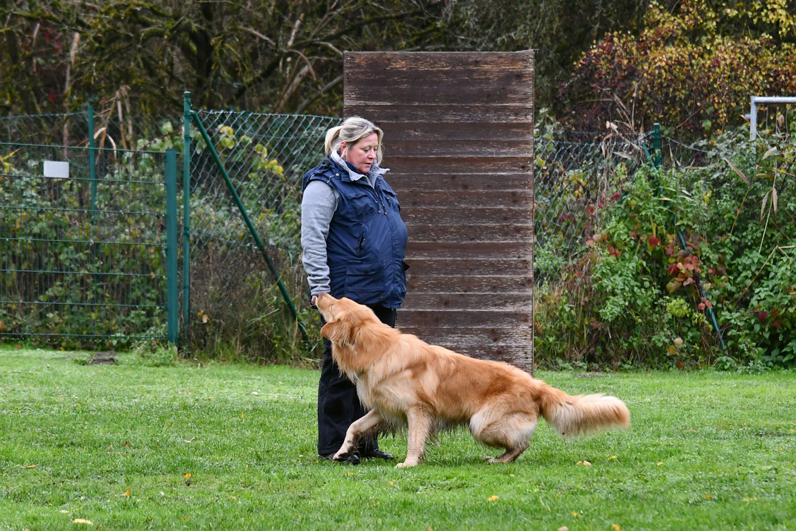 Boxer vom Vilsfeld