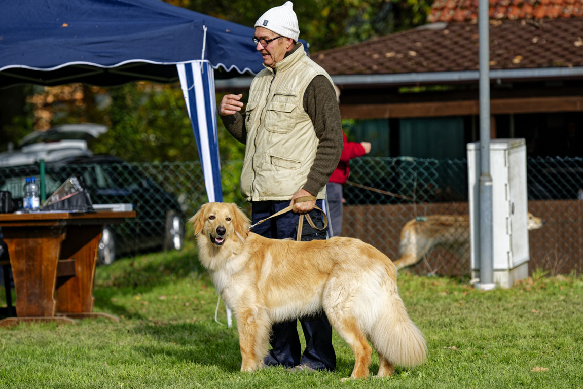 Artus von den Koiwächtern