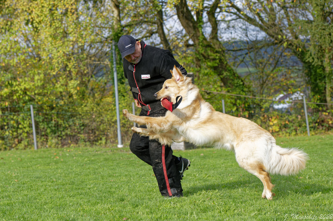 Artus von den Koiwächtern