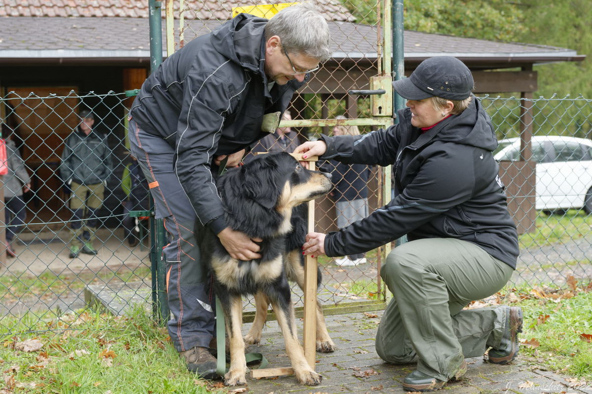 Cooper vom Rhönfeuer