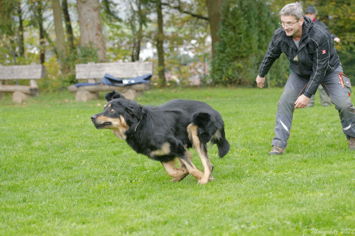 Cooper vom Rhönfeuer