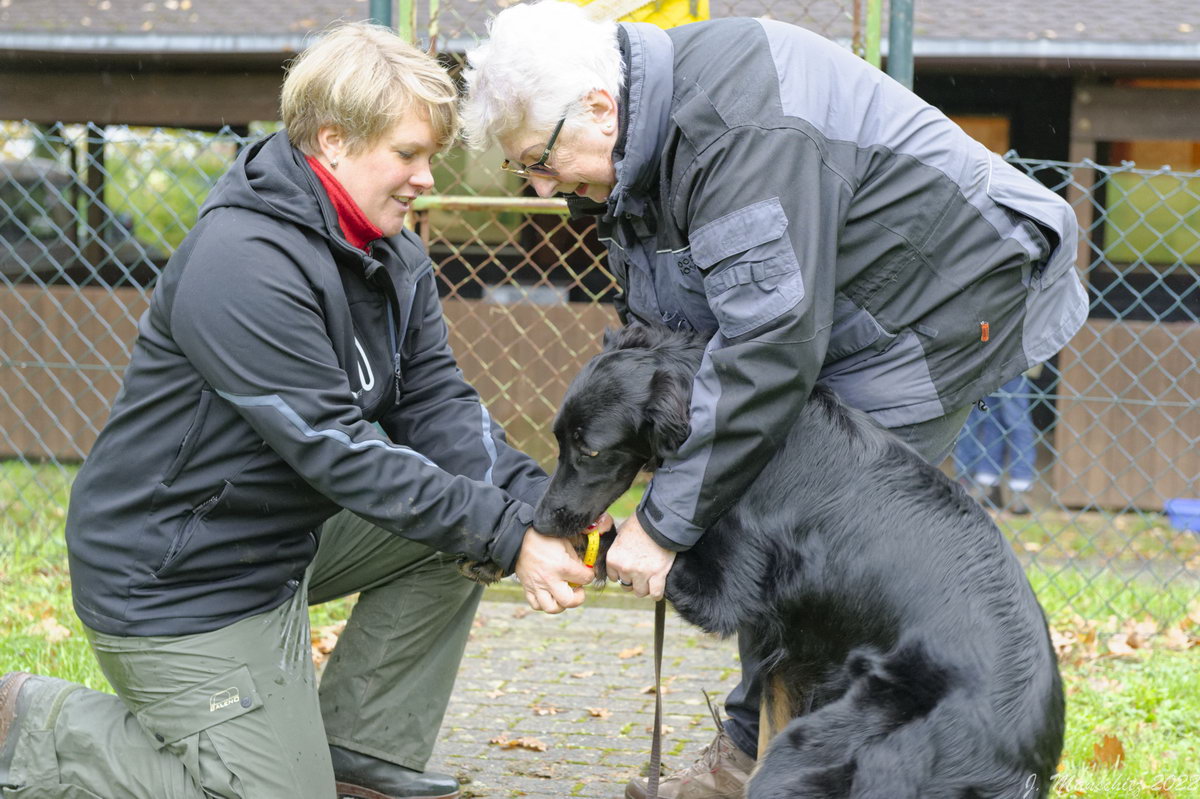 Timba aus dem Emsland