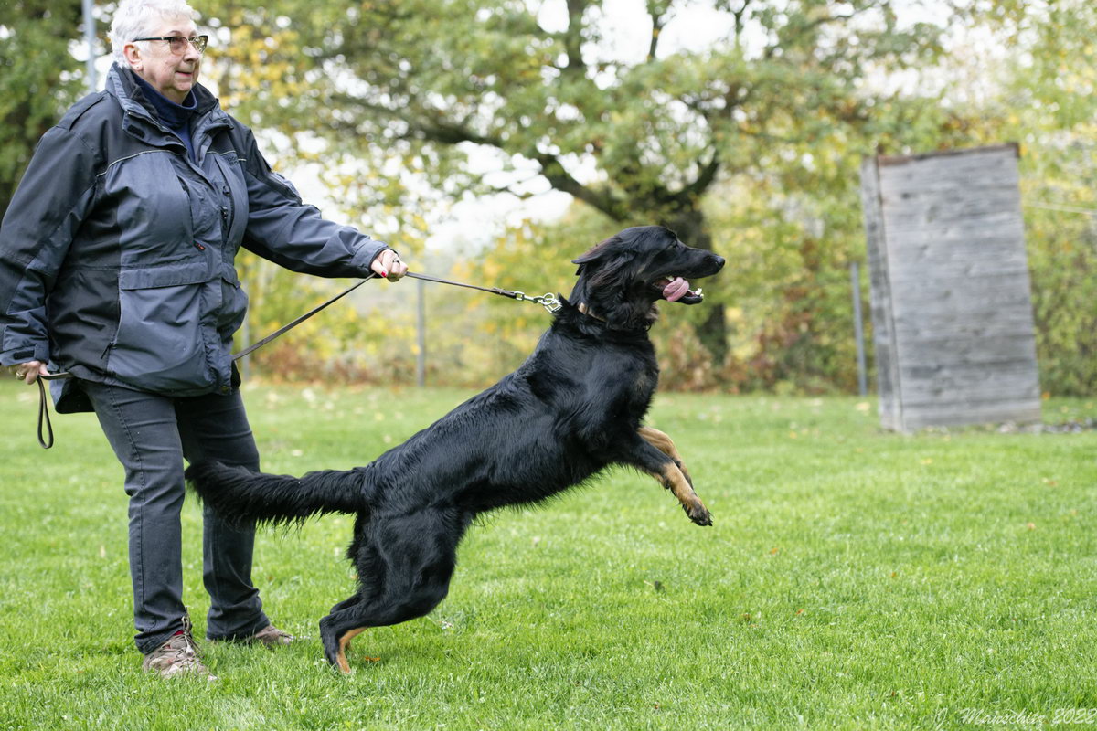 Timba aus dem Emsland