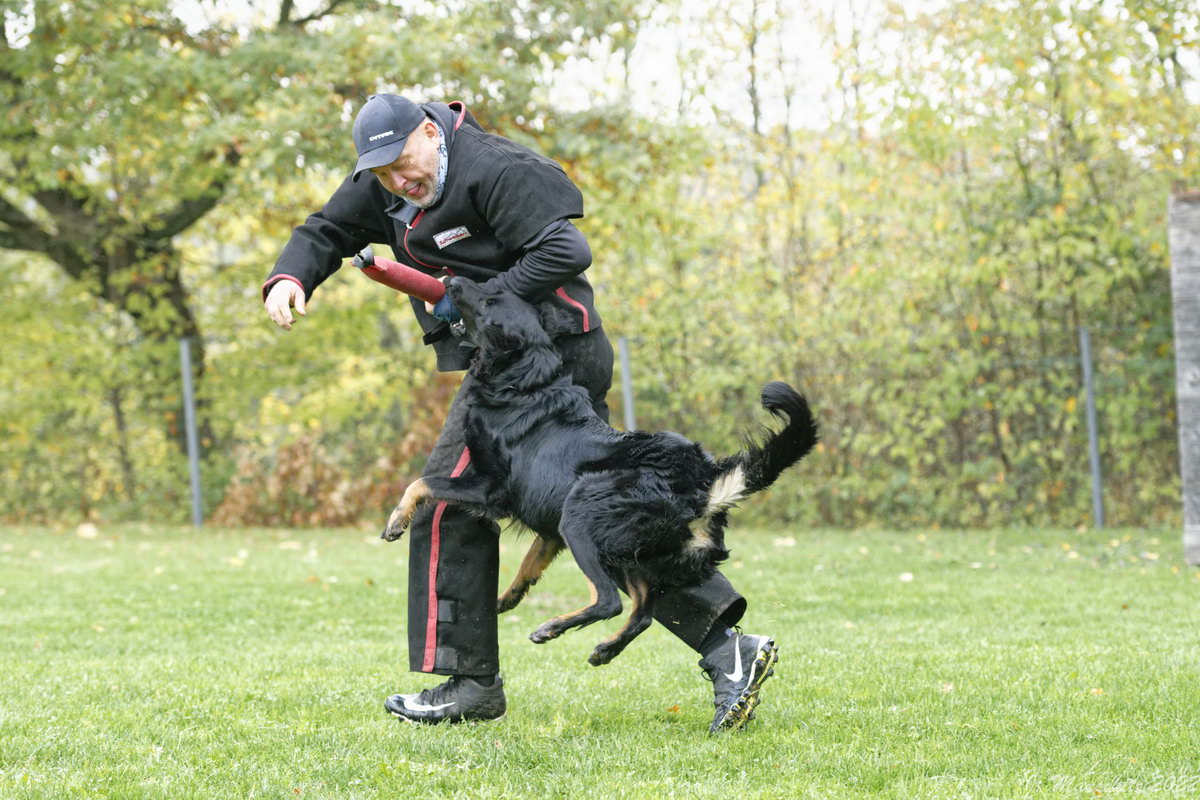 Timba aus dem Emsland