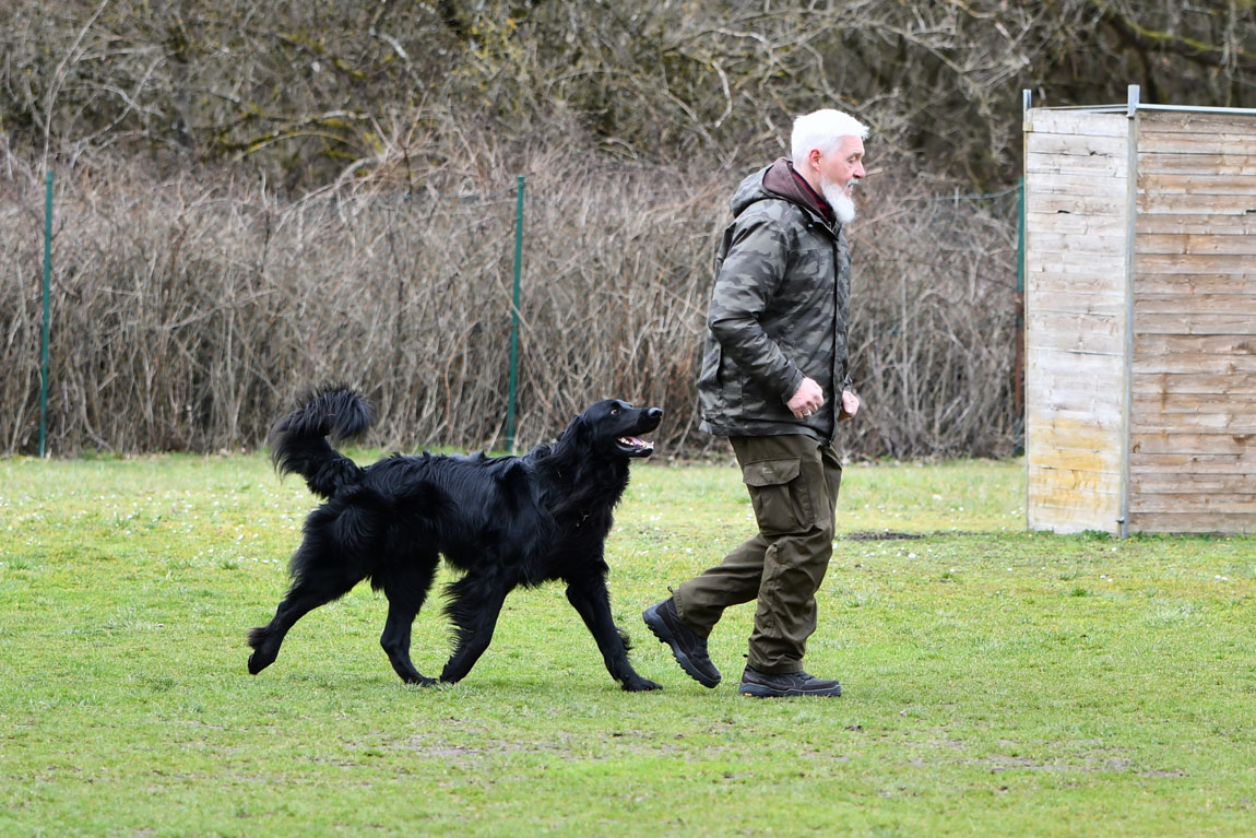 Black-Jack vom Rodautal