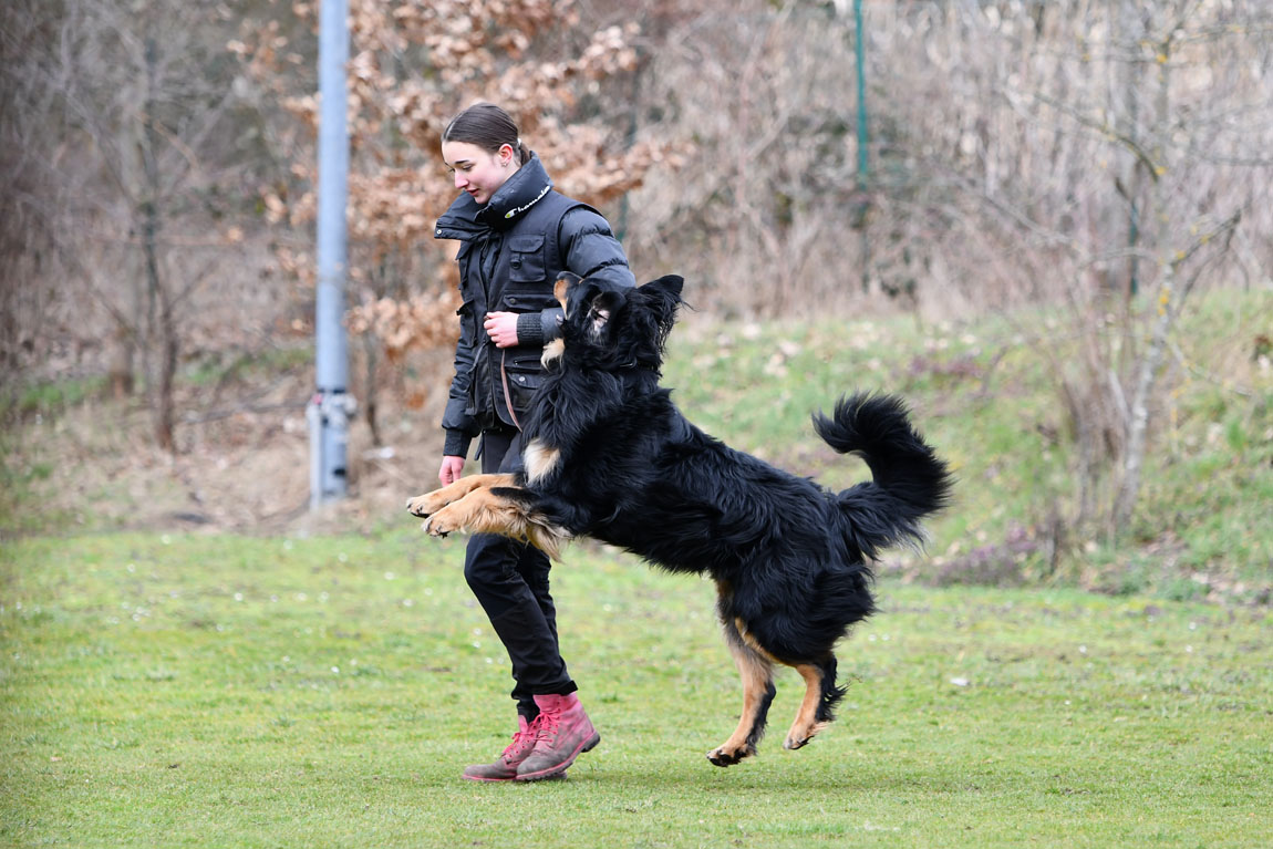 Elvis von der Klatschmohnwiese