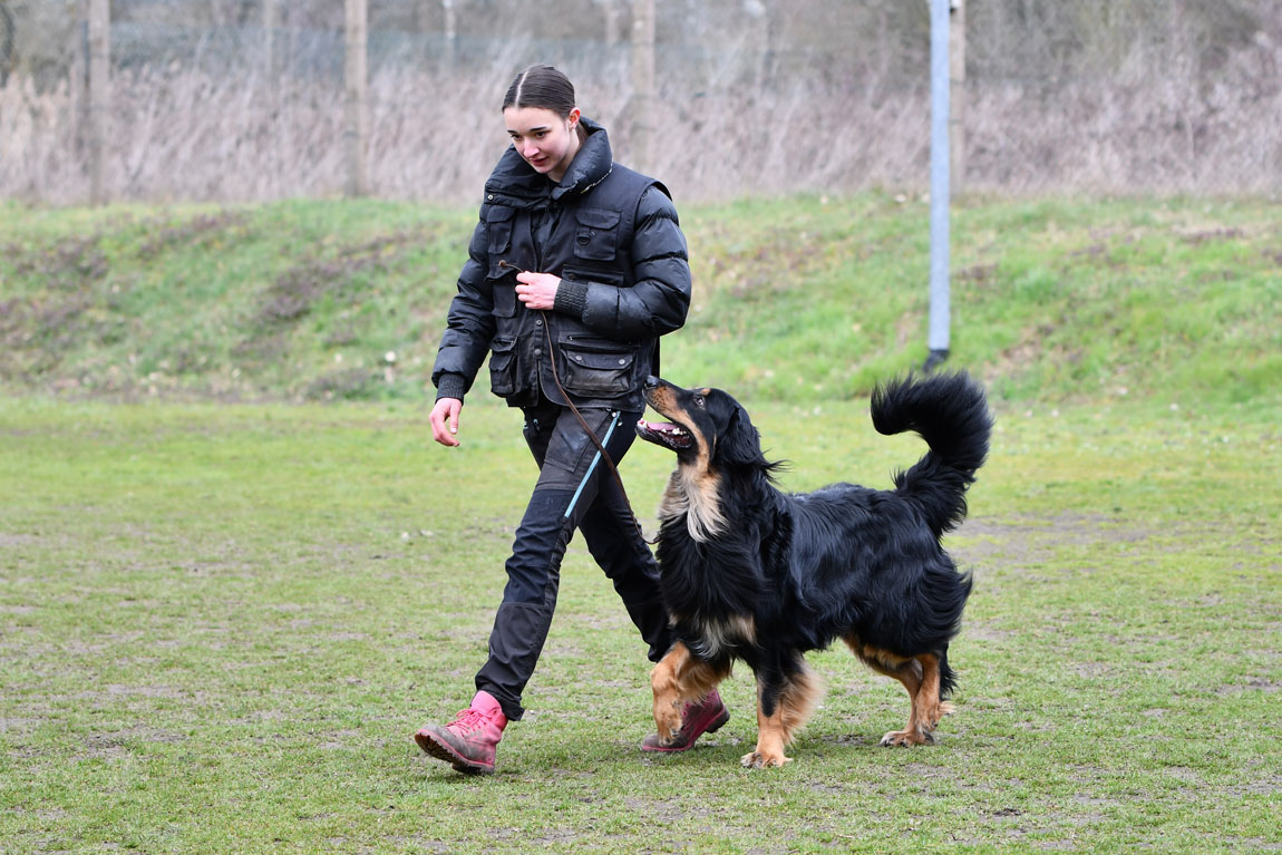 Elvis von der Klatschmohnwiese