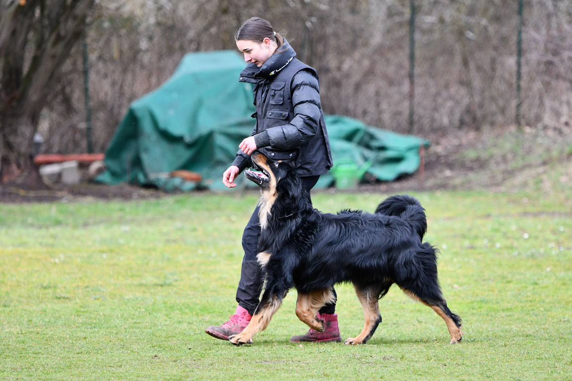 Elvis von der Klatschmohnwiese