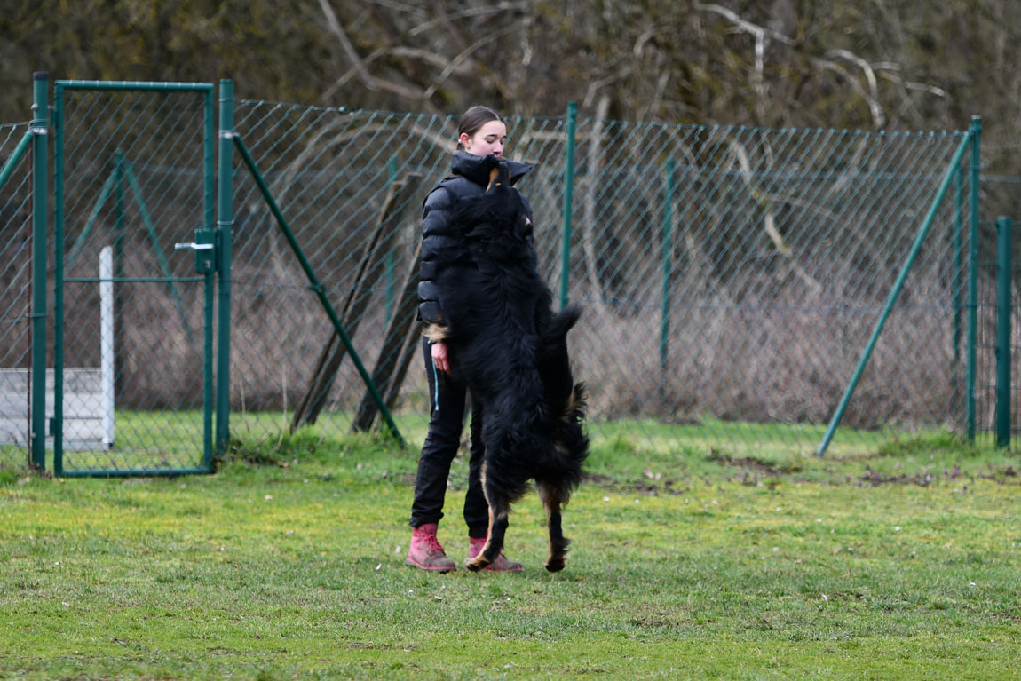 Elvis von der Klatschmohnwiese