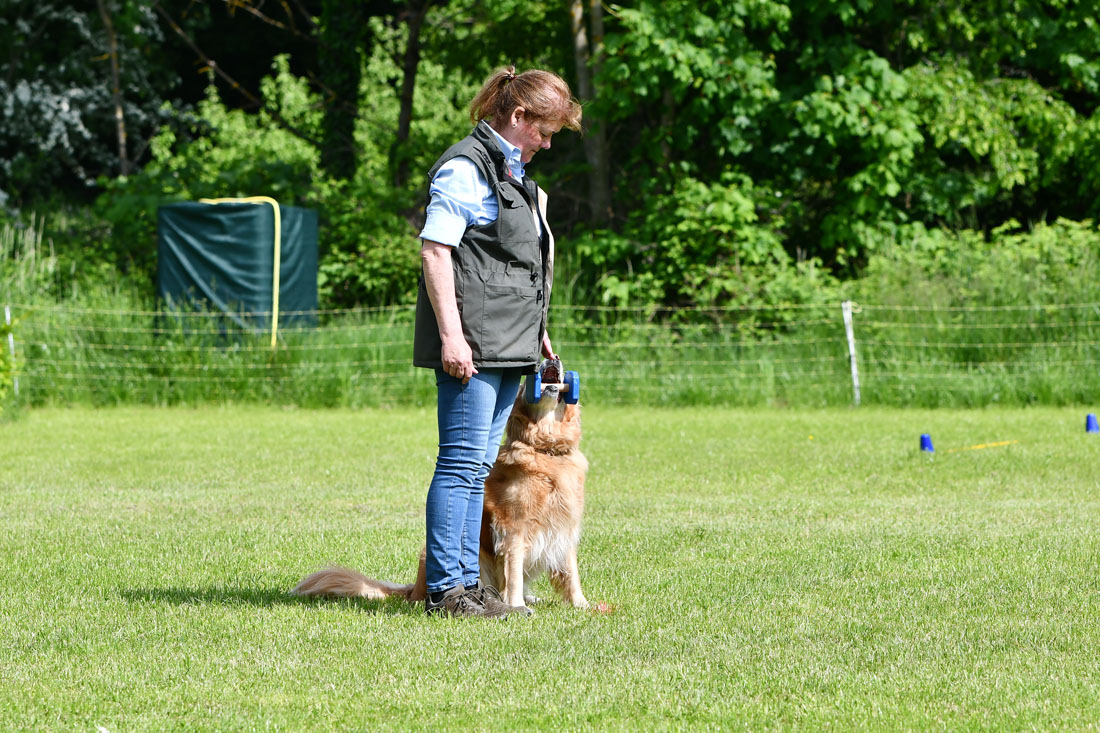 Belana vom Lippebogen