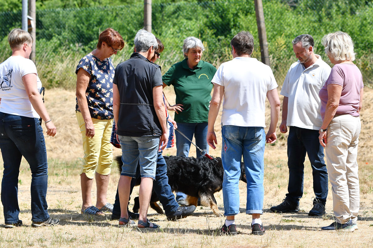 Nova vom Wildweibchenstein