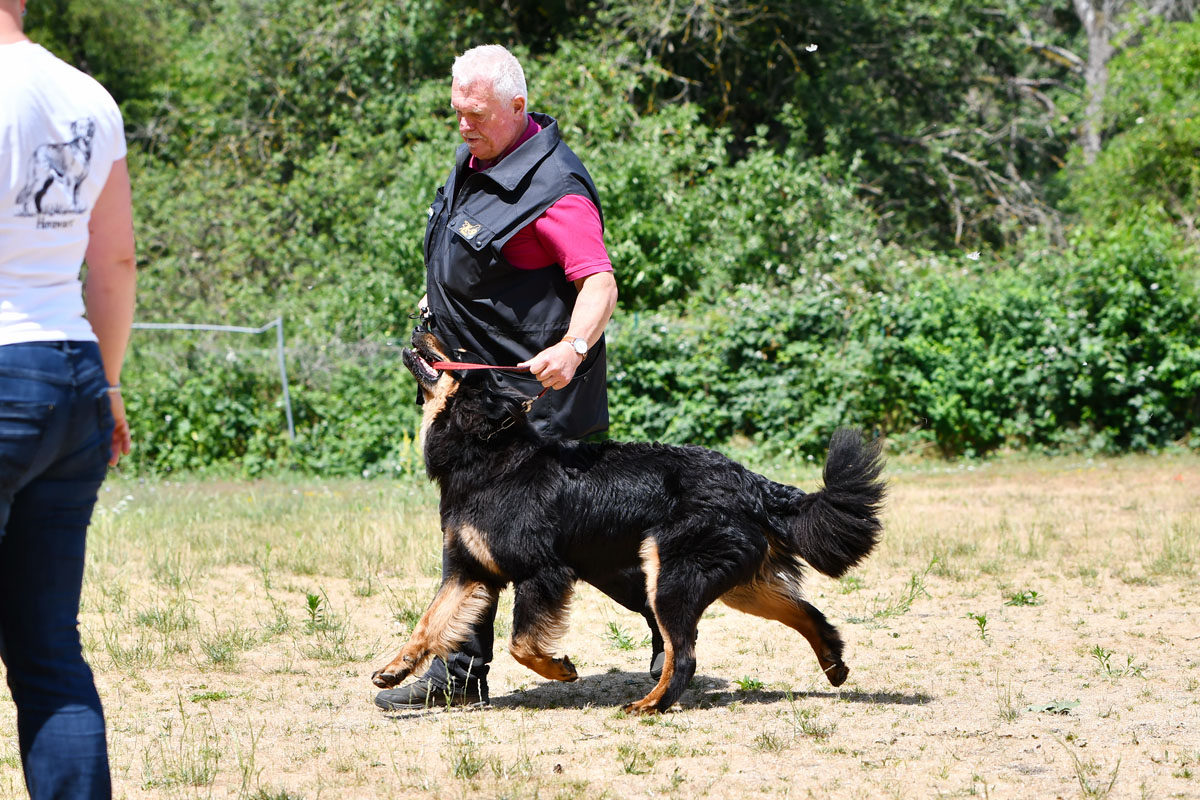 Neo vom Wildweibchenstein