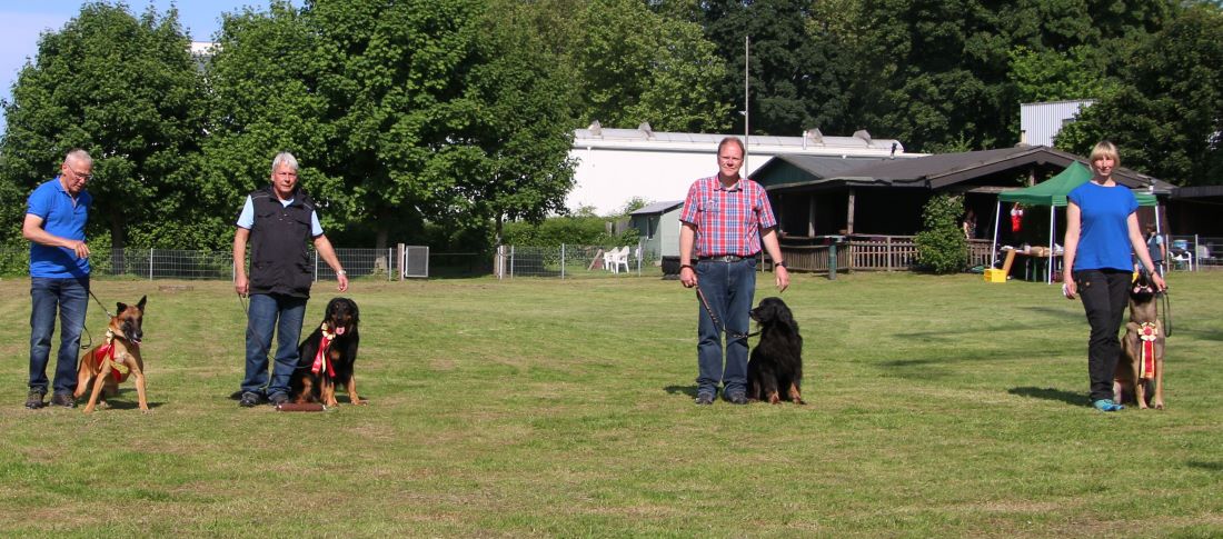 Gruppenbild Hovawart Westfalen