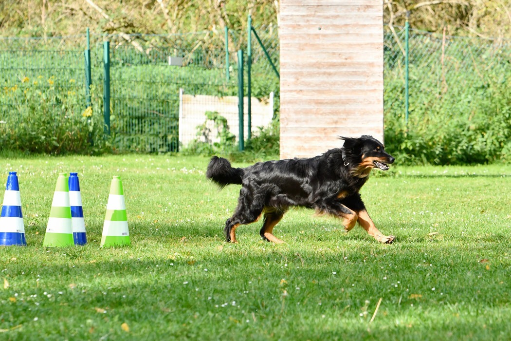 OB-1: Bernhard See mit Jubilee vom Wildweibchenstein