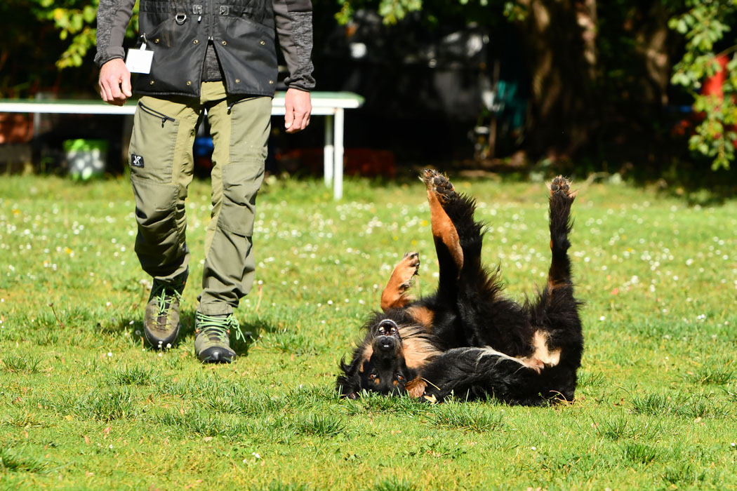 OB-1: Bernhard See mit Jubilee vom Wildweibchenstein