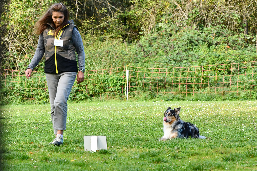 OB-2: Carolin Heil mit Scallywags Divine