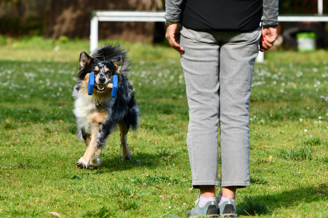 OB-2: Carolin Heil mit Scallywags Divine