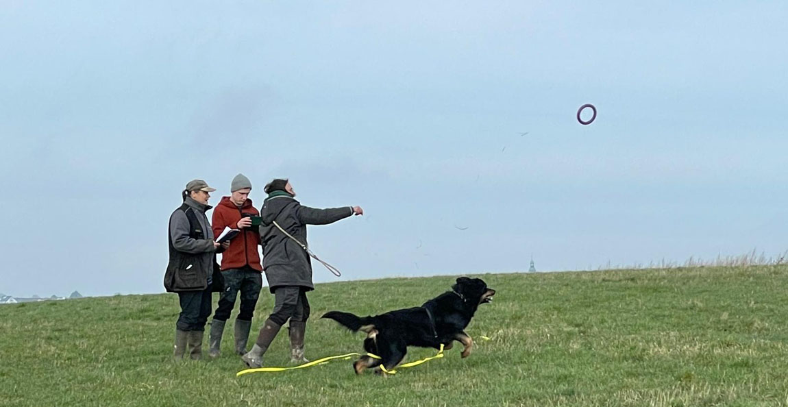 Fährten Frisbee