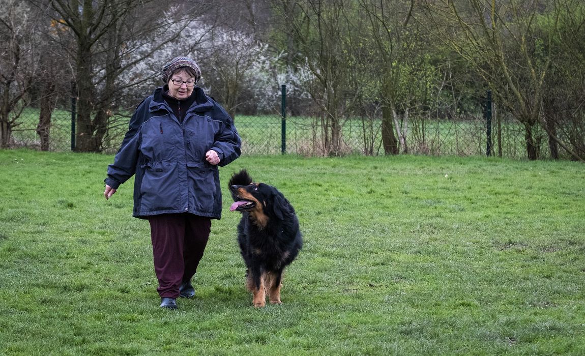 Mitführhund Clio vom Kesseltal