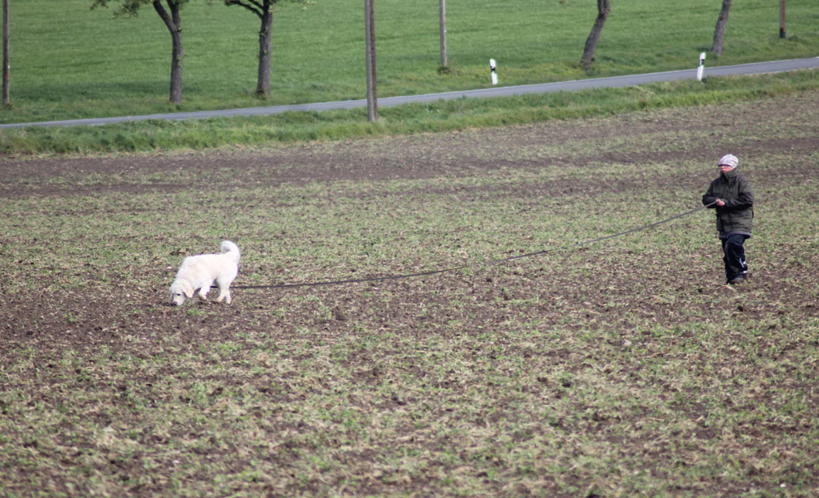 Heike Steiner und Gold Line´s Angel of Love Sammy