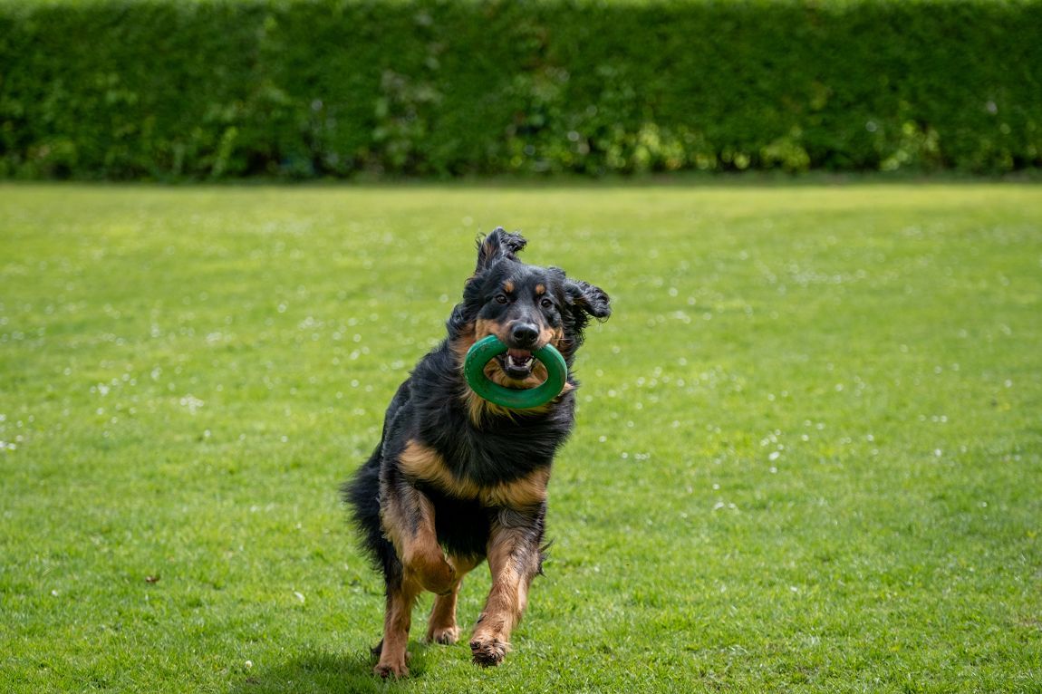 Beppo vom Neckersteig