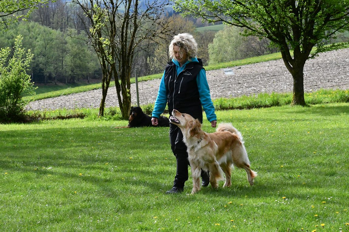 Britta Pahnhenrich mit Patchouli v. Guelsteiner Tor 