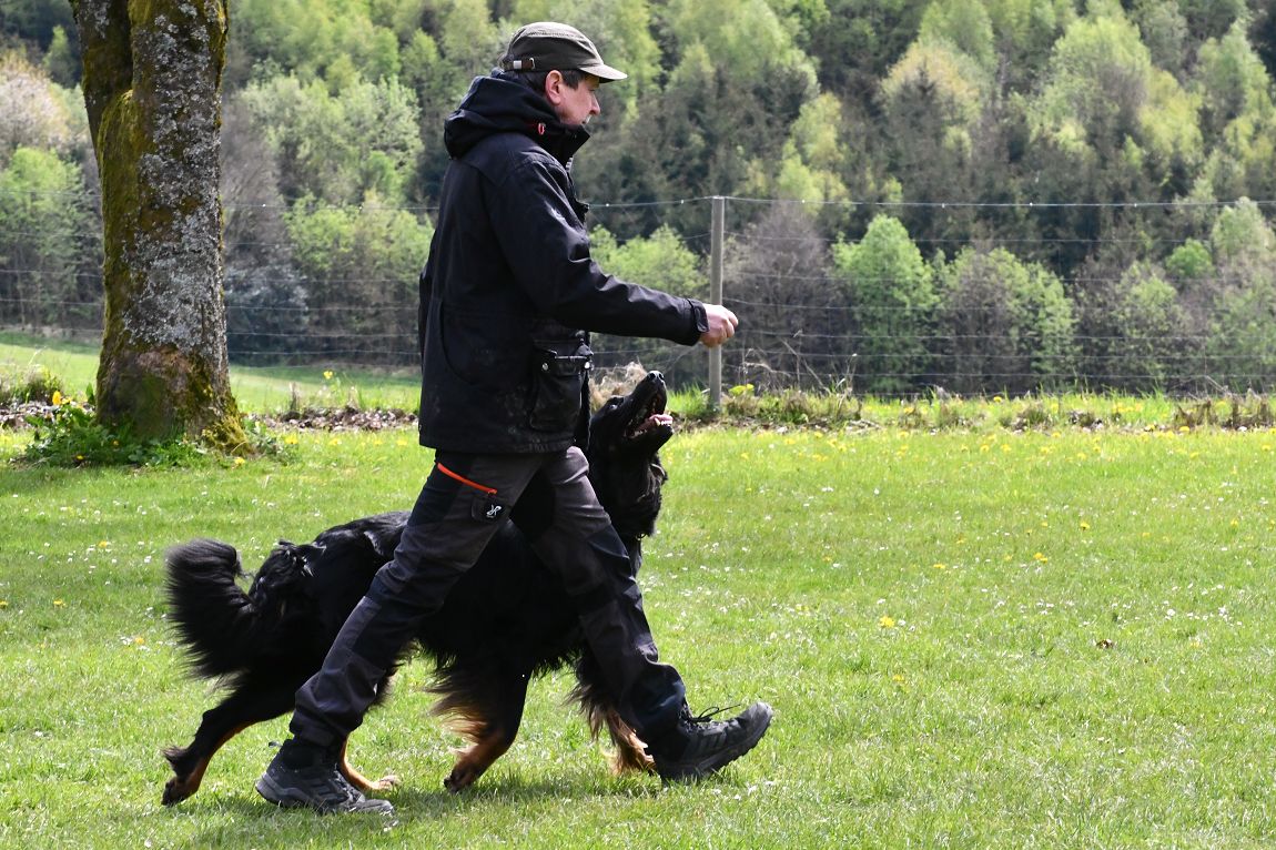 Dietmar Majewski mit Arras v. Opladener Wäldchen 