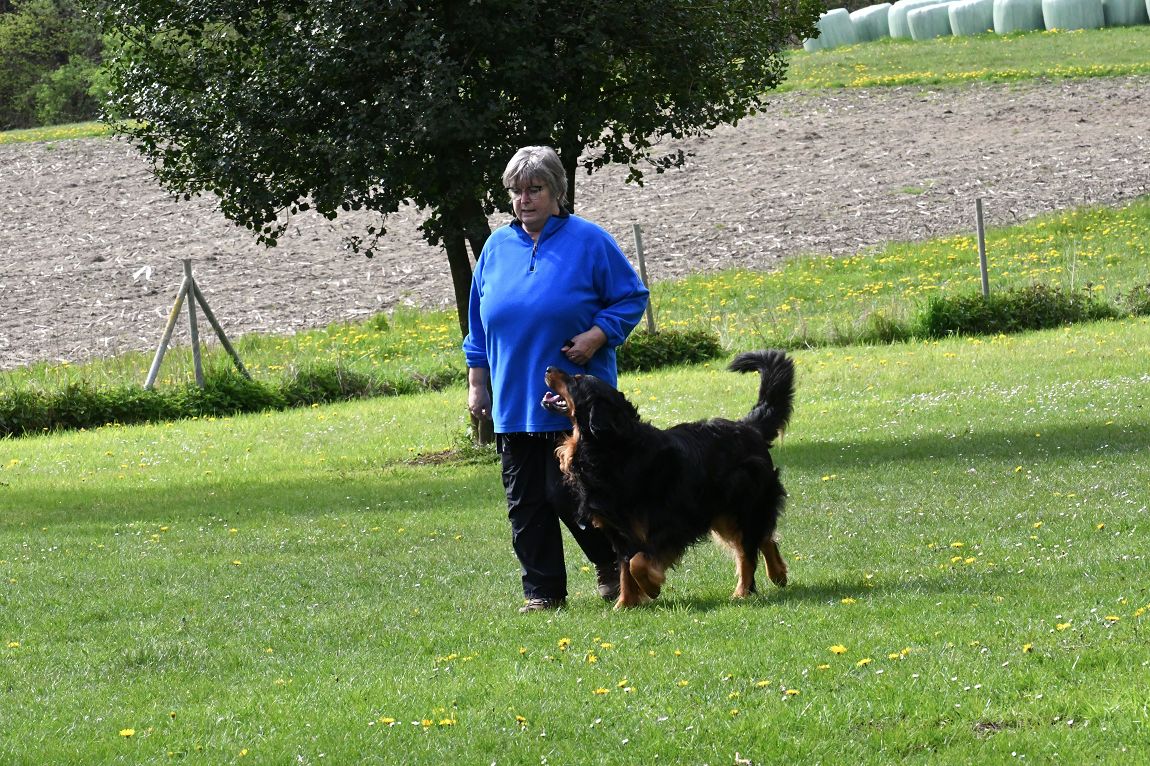 Sabine Langer mit Paddy v.d. Hofreite