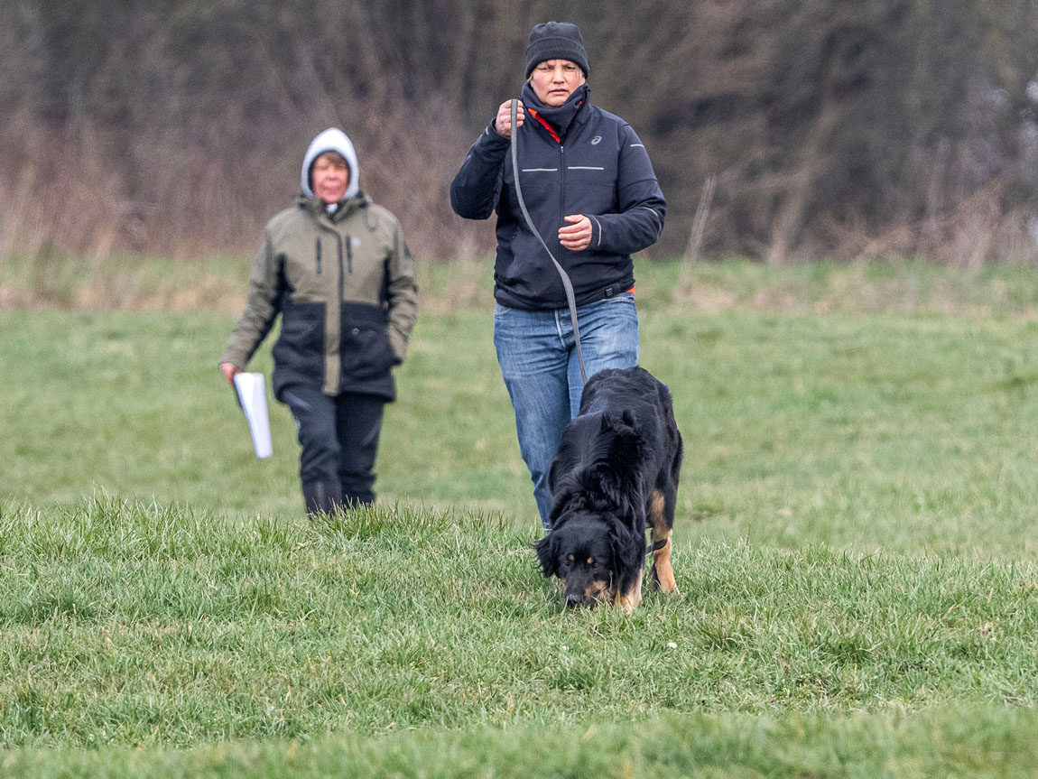 Connie Sell mit Laska ex Canis Lupus und Fährtenlegerin Christina Giles (hi.)