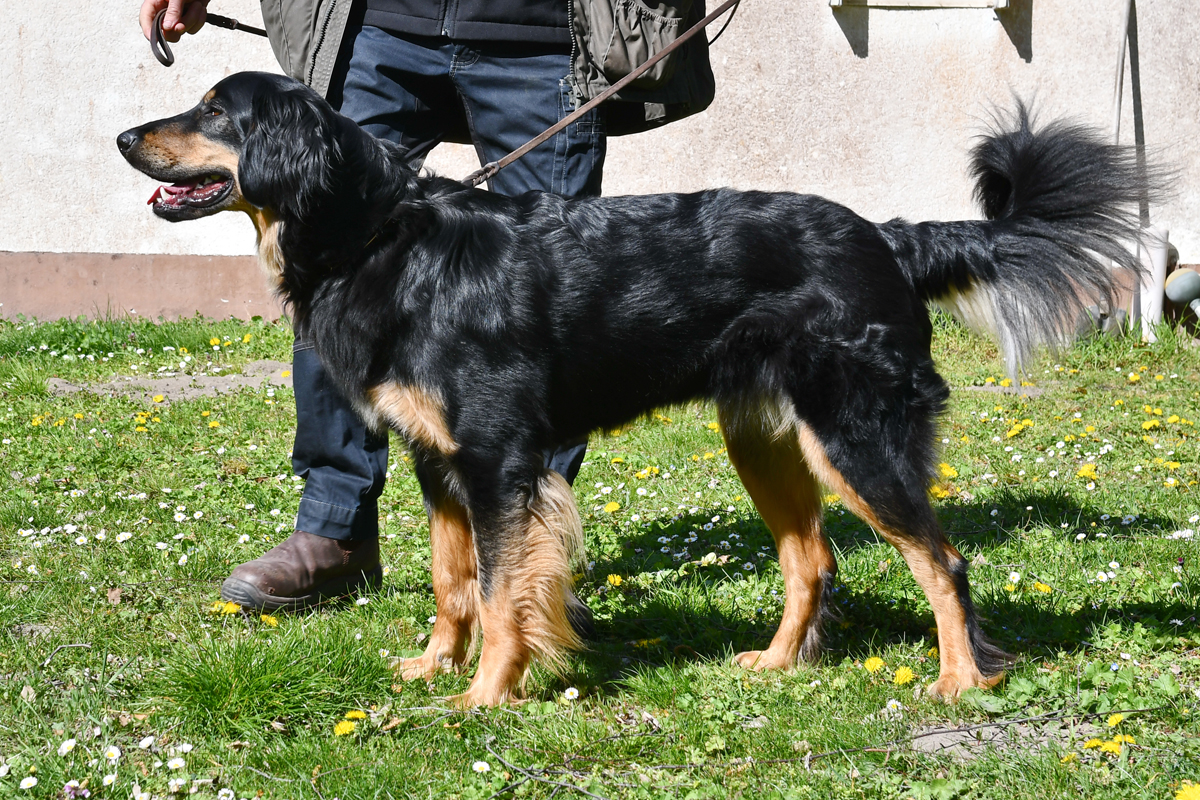Freya von Lahn Und Dill