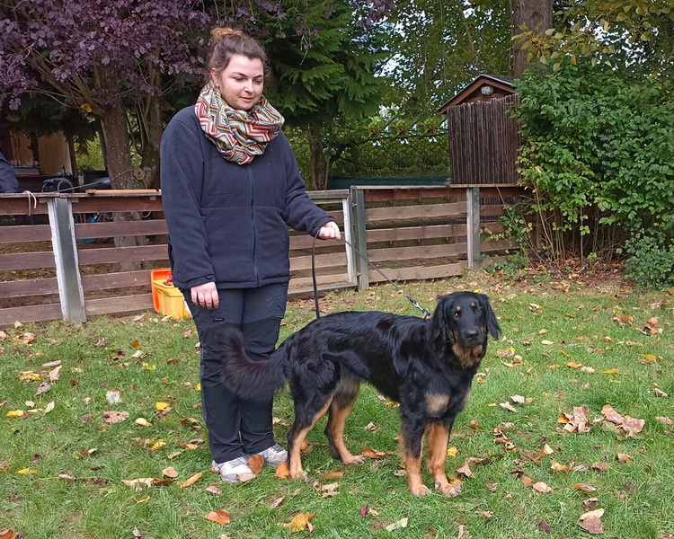 JB: Alia vom Ginkgopfad