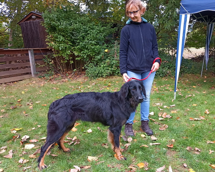 JB: Arzu vom Ginkgopfad