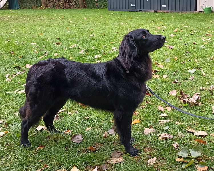ZTP: Cameera von Villa Winnental