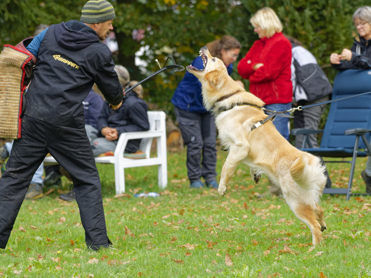 Eddi vom Mirower Seeufer