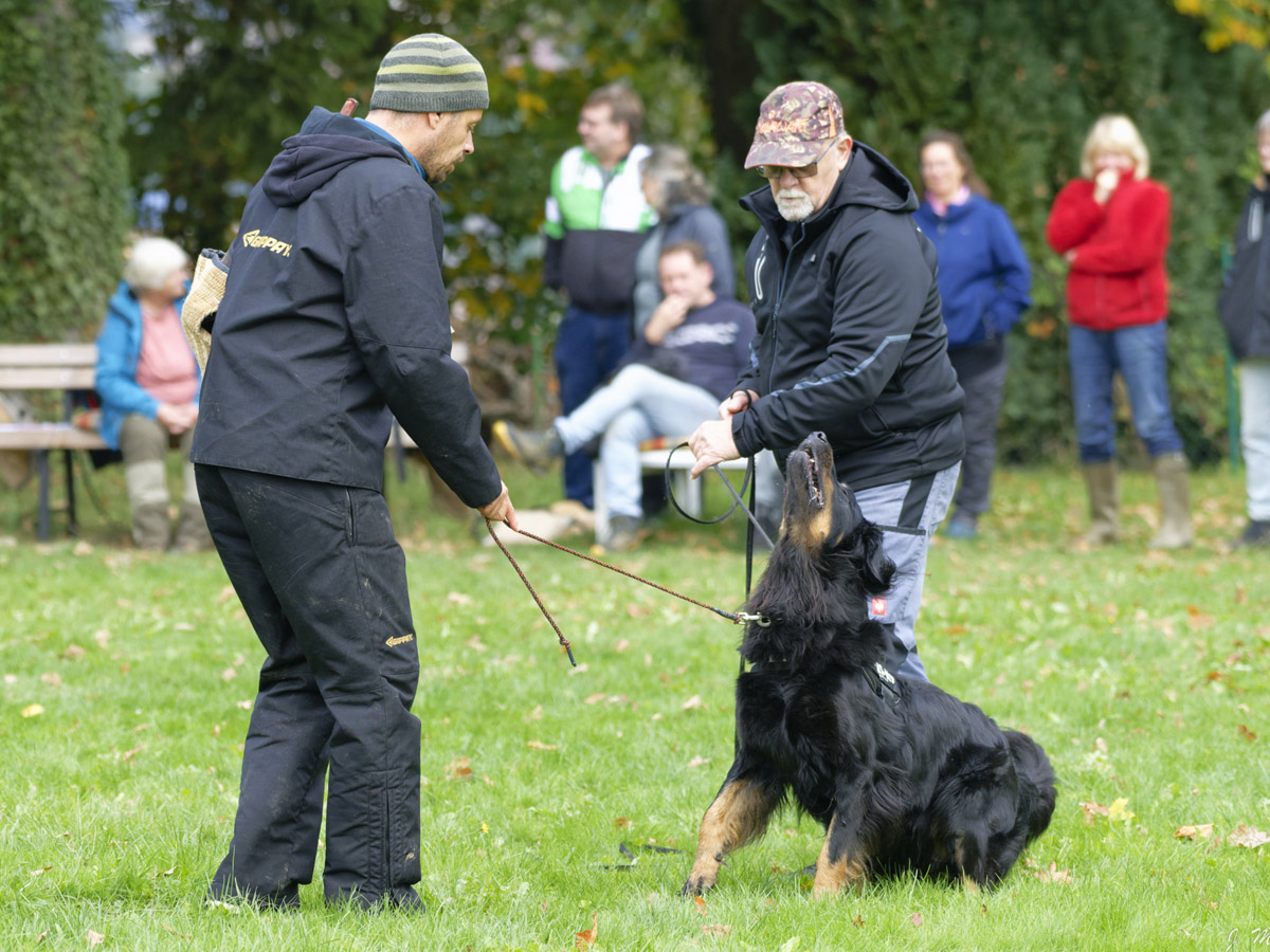 Fee von der Klatschmohnwiese