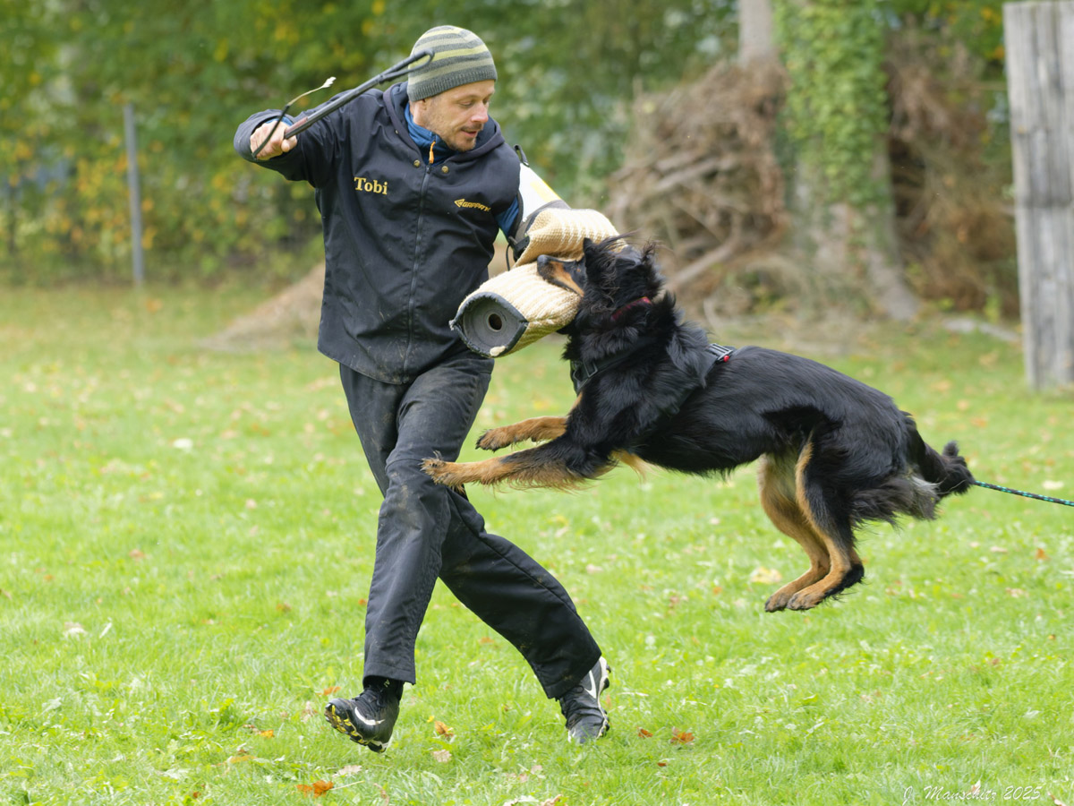 Ilenia vom Langhagensee
