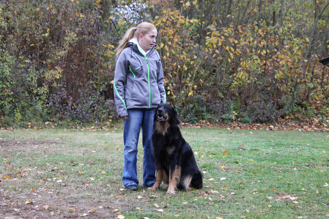 Cosima mit Inshallah von Tüfelsland
